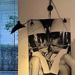 Vis_house